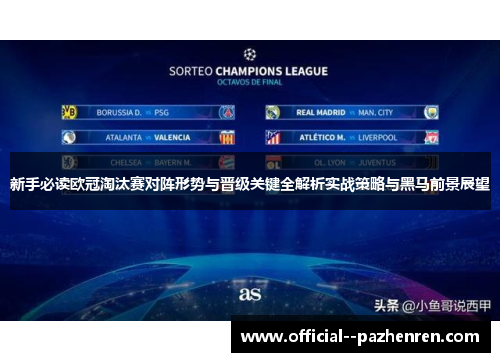 新手必读欧冠淘汰赛对阵形势与晋级关键全解析实战策略与黑马前景展望